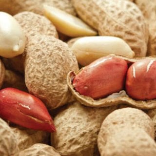 Aflatoksin Nedir?