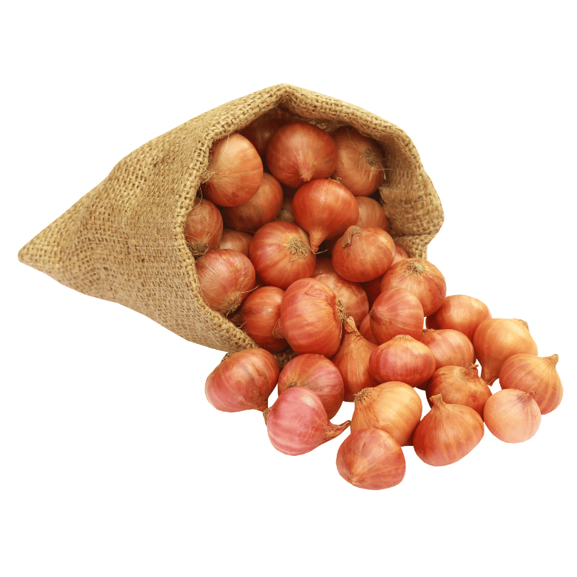 Coğrafi İşaretli Organik Karacabey Soğanı - 3 kg