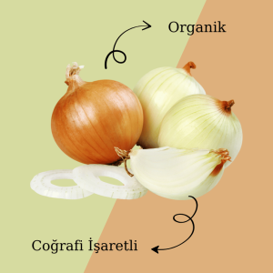 Coğrafi İşaretli Organik Karacabey Soğanı - 3 kg