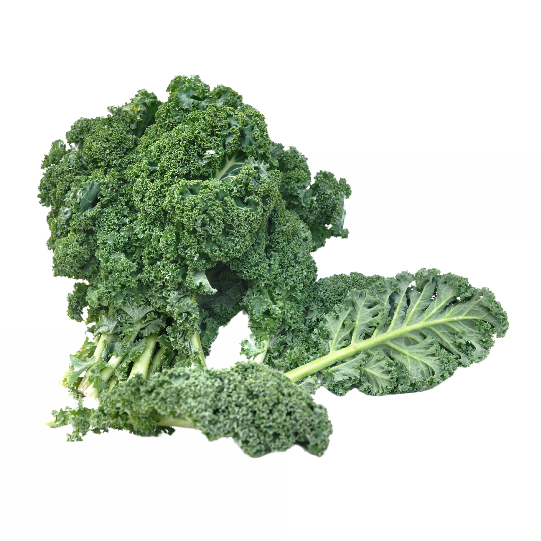 Organik Kale Yaprağı
