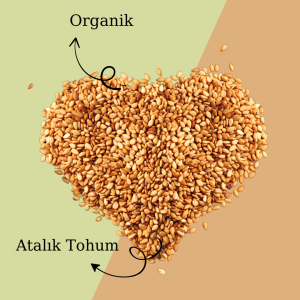 Organik Kavrulmuş Susam - 100 gr