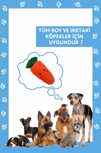 Tombik Havuç Peluş Köpek Oyuncağı