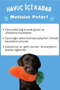 Tombik Havuç Peluş Köpek Oyuncağı