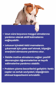 Lotus İnteraktif Köpek Oyun Topu, Mama Saklamalı Köpek Oyuncağı