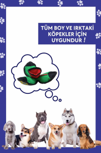 Lotus İnteraktif Köpek Oyun Topu, Mama Saklamalı Köpek Oyuncağı