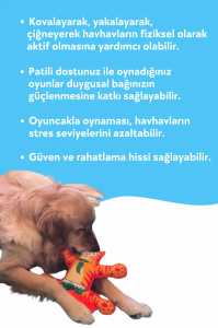 Sesli Köpek Oyuncağı Turuncu Renkli Kedi Şekilli Köpek Diş Kaşıma Oyuncağı