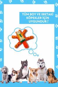 Sesli Köpek Oyuncağı Turuncu Renkli Kedi Şekilli Köpek Diş Kaşıma Oyuncağı