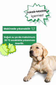 Wufsalad Köpek Yavaş Beslenme için Koklama Matı İnteraktif Mama Saklamalı Kokla Bul Oyuncağı