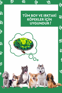 Wufsalad Köpek Yavaş Beslenme için Koklama Matı İnteraktif Mama Saklamalı Kokla Bul Oyuncağı
